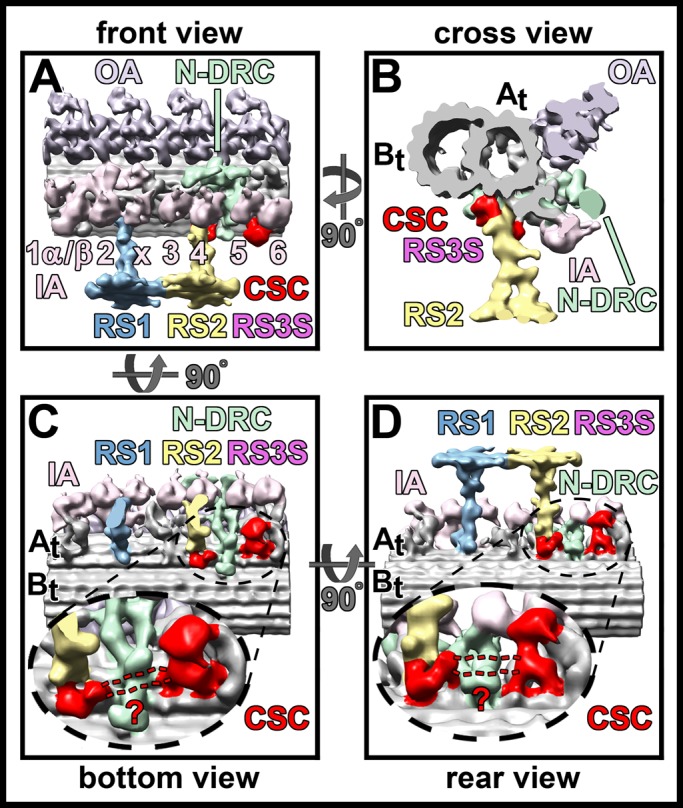 FIGURE 6: