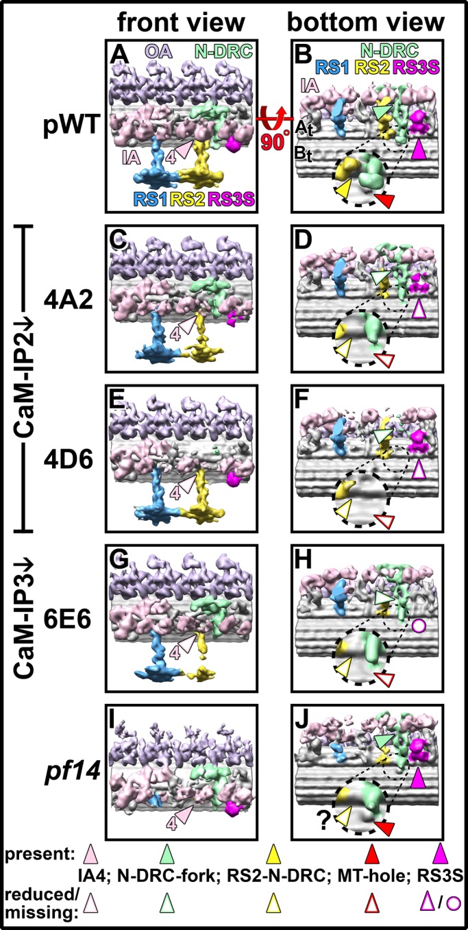 FIGURE 4: