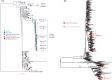 Abstract MOAC0304LB–Figure 1
