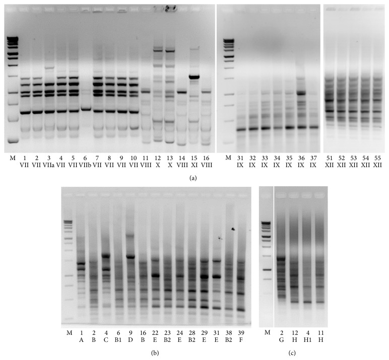 Figure 7