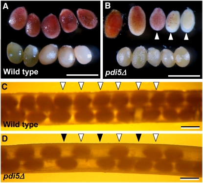 Figure 10.