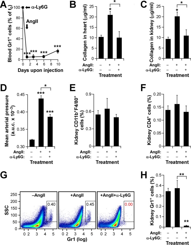 FIG 6