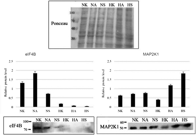 Fig. 8