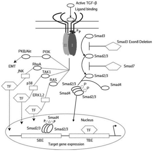 FIGURE 14