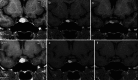 Fig. 8