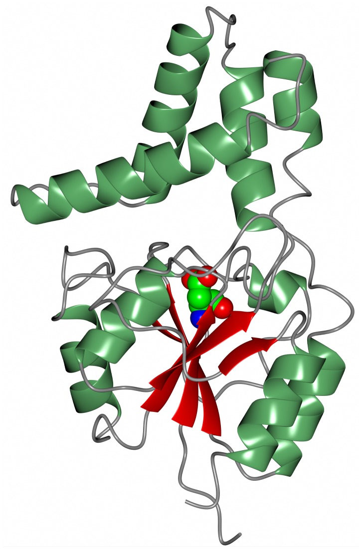 Figure 7