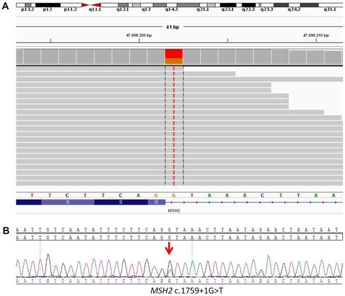 Figure 2.