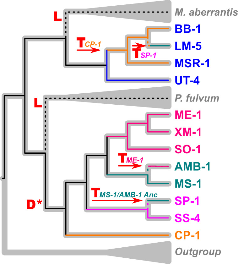 Fig. 4