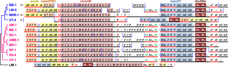 Fig. 2