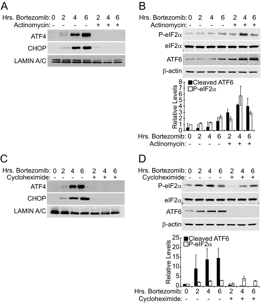 FIGURE 4.