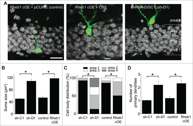 Figure 3.