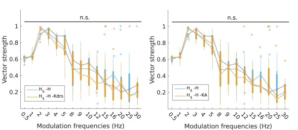 Figure 6—figure supplement 1.