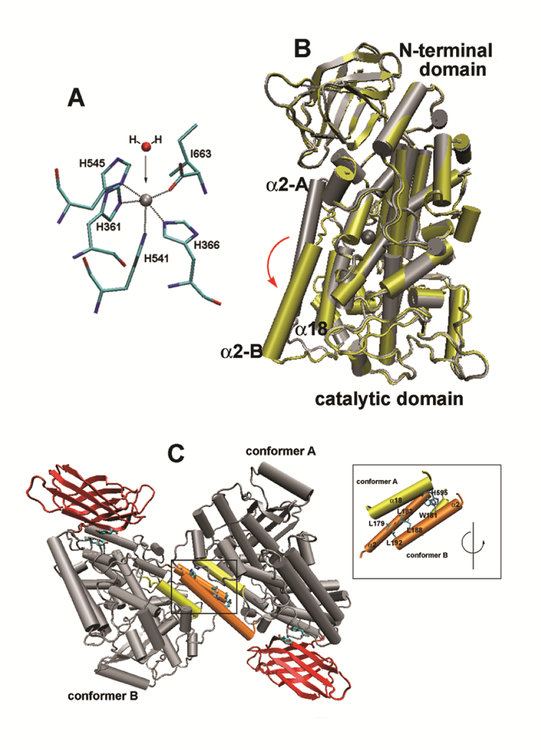 Fig. 7