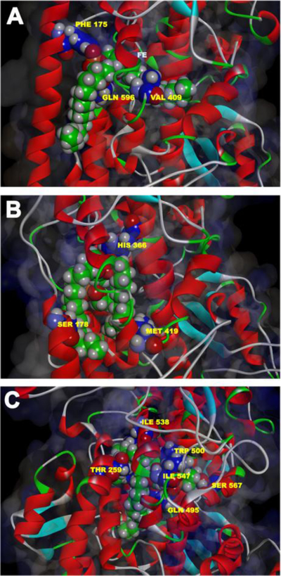 Fig. 3