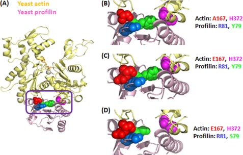 FIGURE 1.