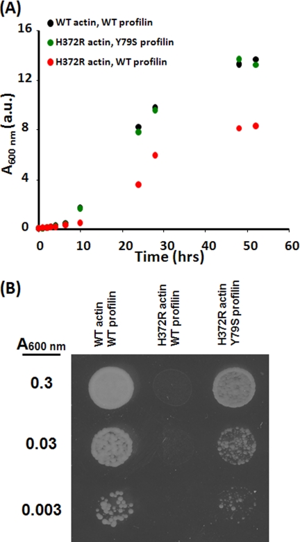 FIGURE 3.