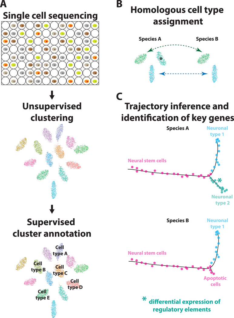 Figure 4: