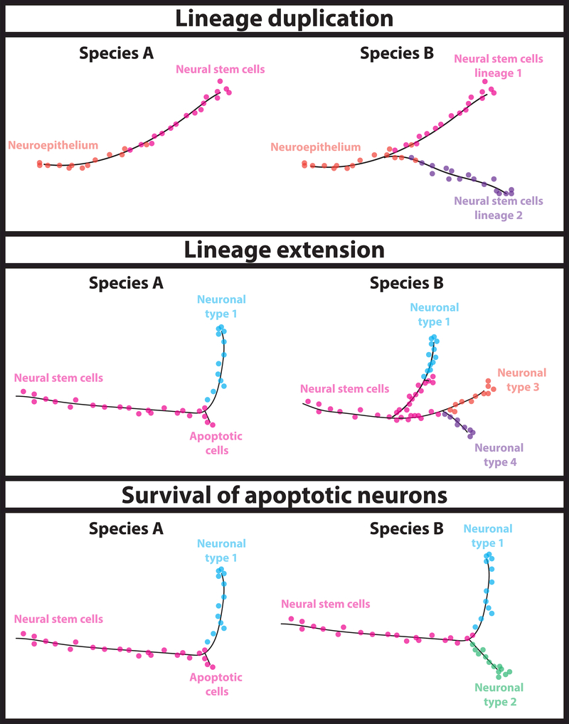 Figure 3: