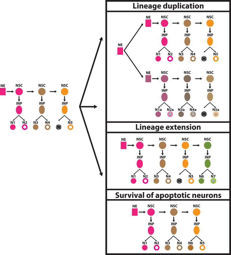 Figure 1: