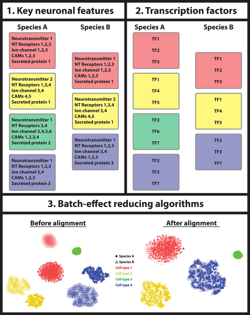 Figure 2: