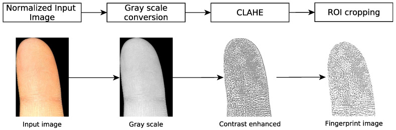 Figure 5