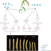 Figure 10