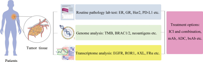 Figure 6