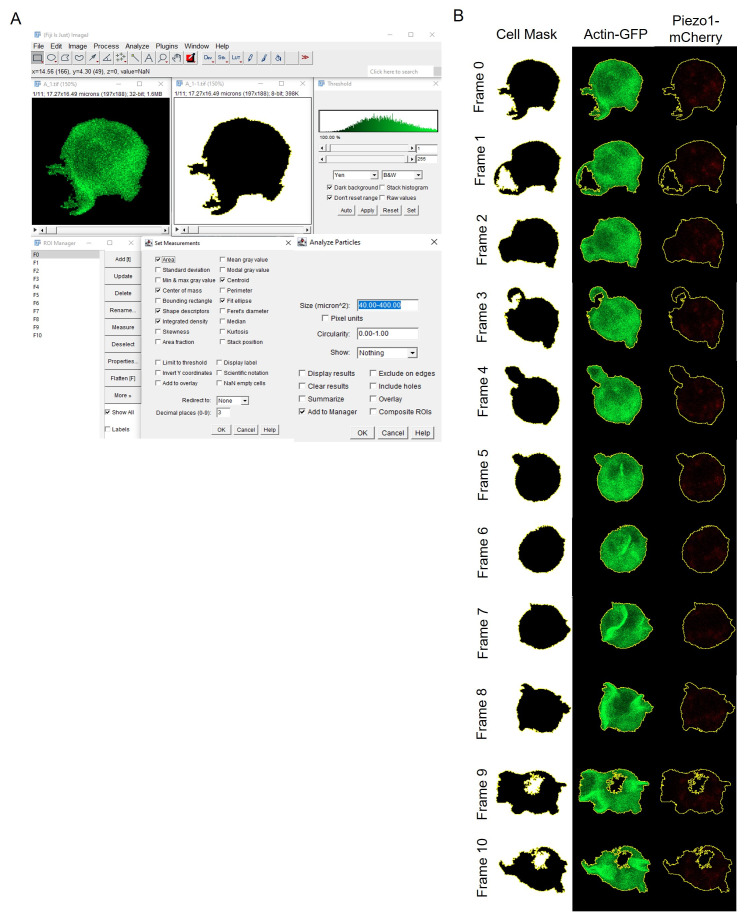 Figure 3.