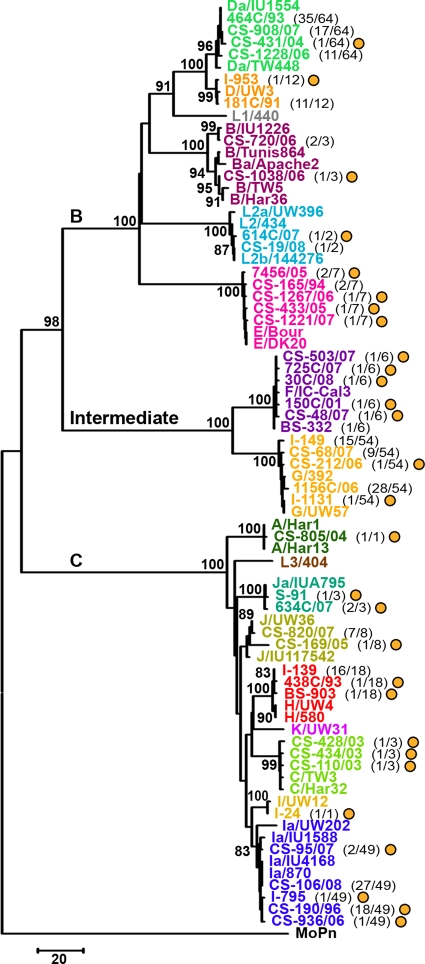 FIG. 2.