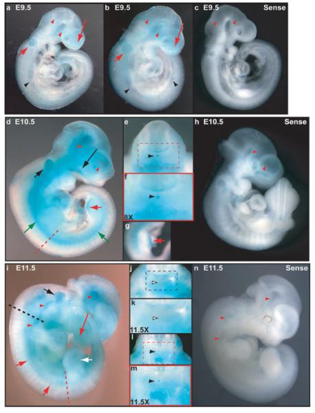 FIG. 3