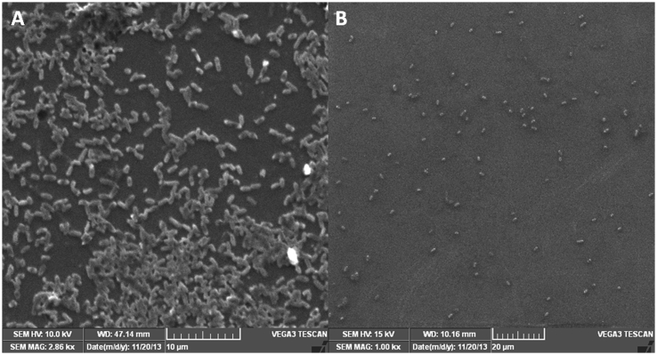 Fig. 7