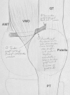 Fig 7
