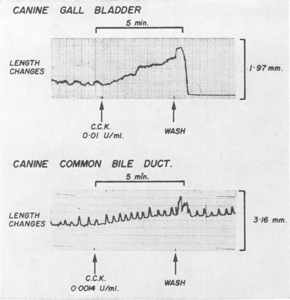 Fig. 2a.