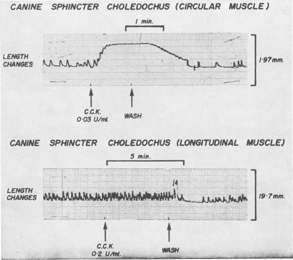 Fig. 2b.