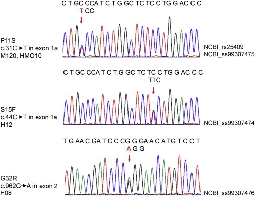 Figure 2