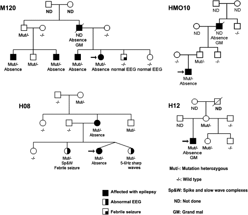 Figure 1