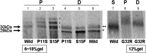 Figure 7