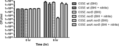 Fig. 8.