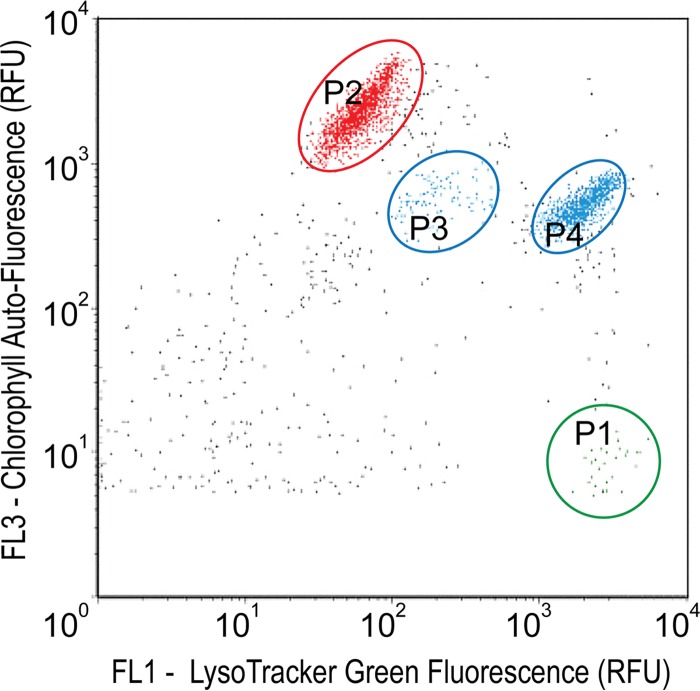 FIG 1