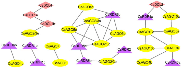 Figure 10