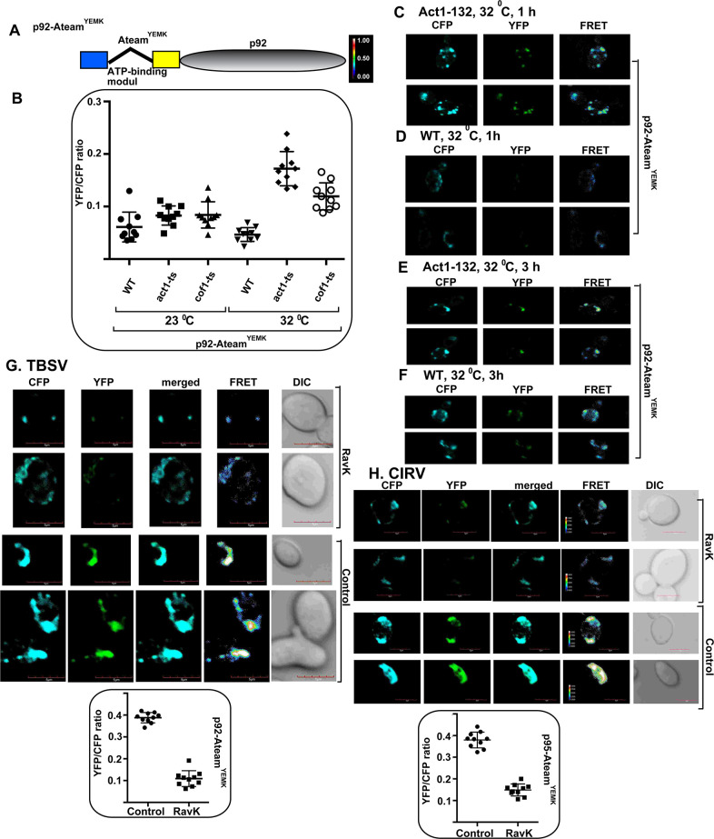 Fig 13