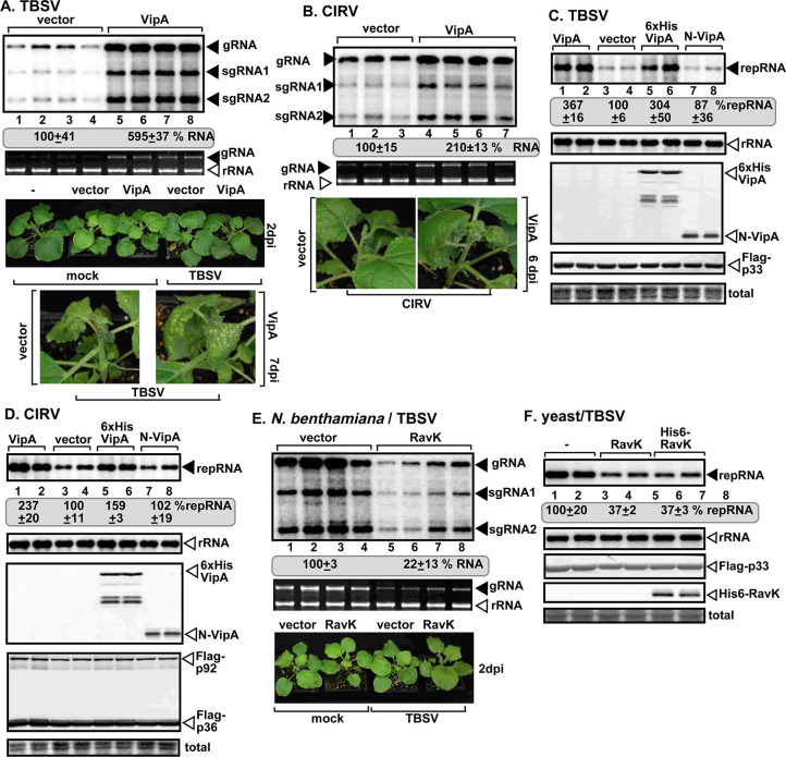 Fig 8
