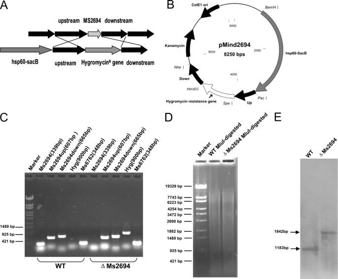 FIGURE 3.