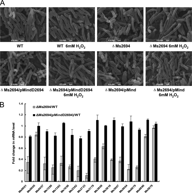 FIGURE 4.