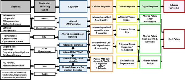 Figure 11.