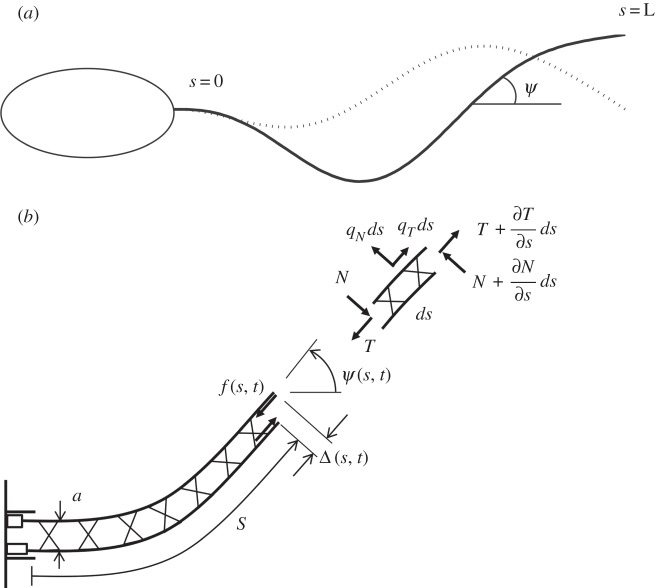 Figure 1.