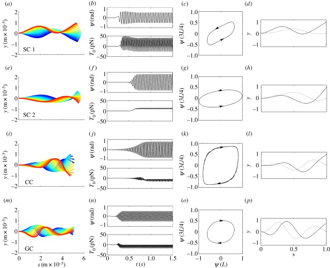 Figure 13.