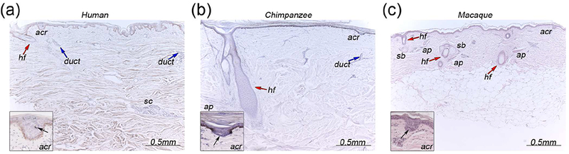 Fig. 1: