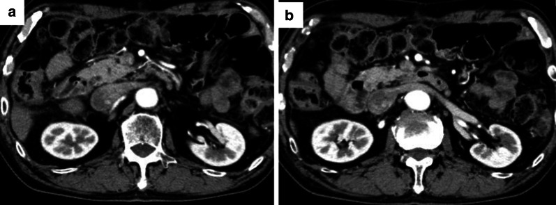 Fig. 5