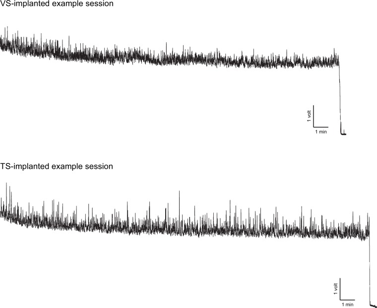 Figure 1—figure supplement 2.